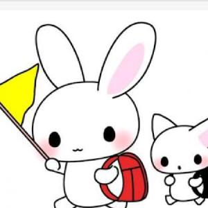 *＊bunny＊*