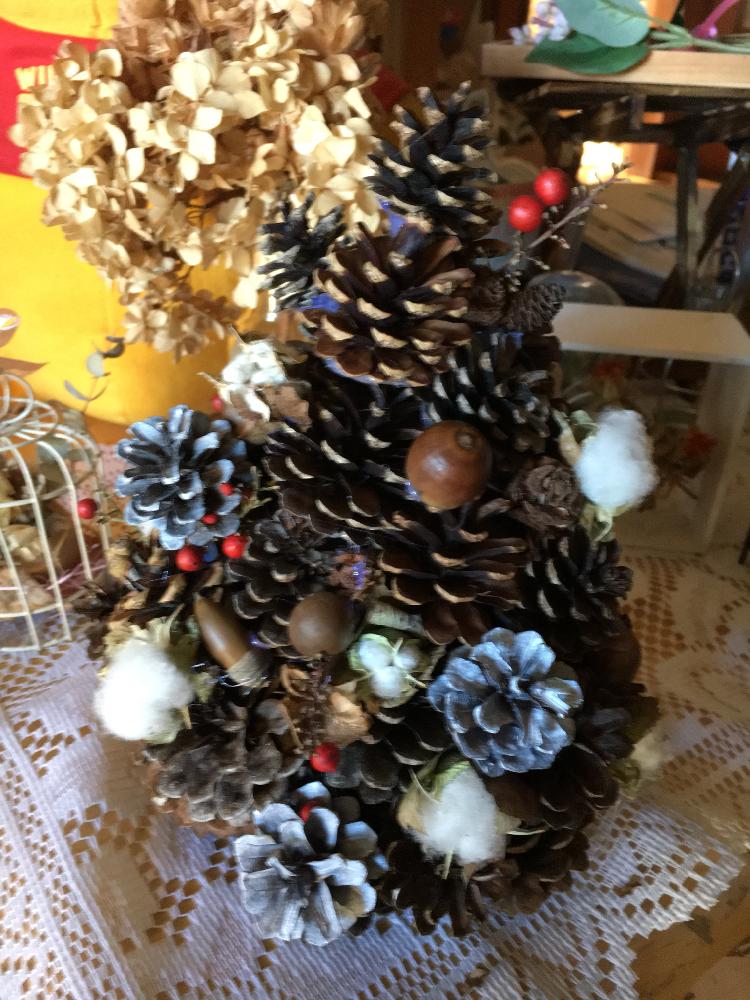 クリスマスツリーの投稿画像 By れたぽんさん 木の実と100均とダイソーと植中毒とセリアと松ぼっくり とどんぐりの実と可愛いとクリスマス 17月12月日 Greensnap グリーンスナップ