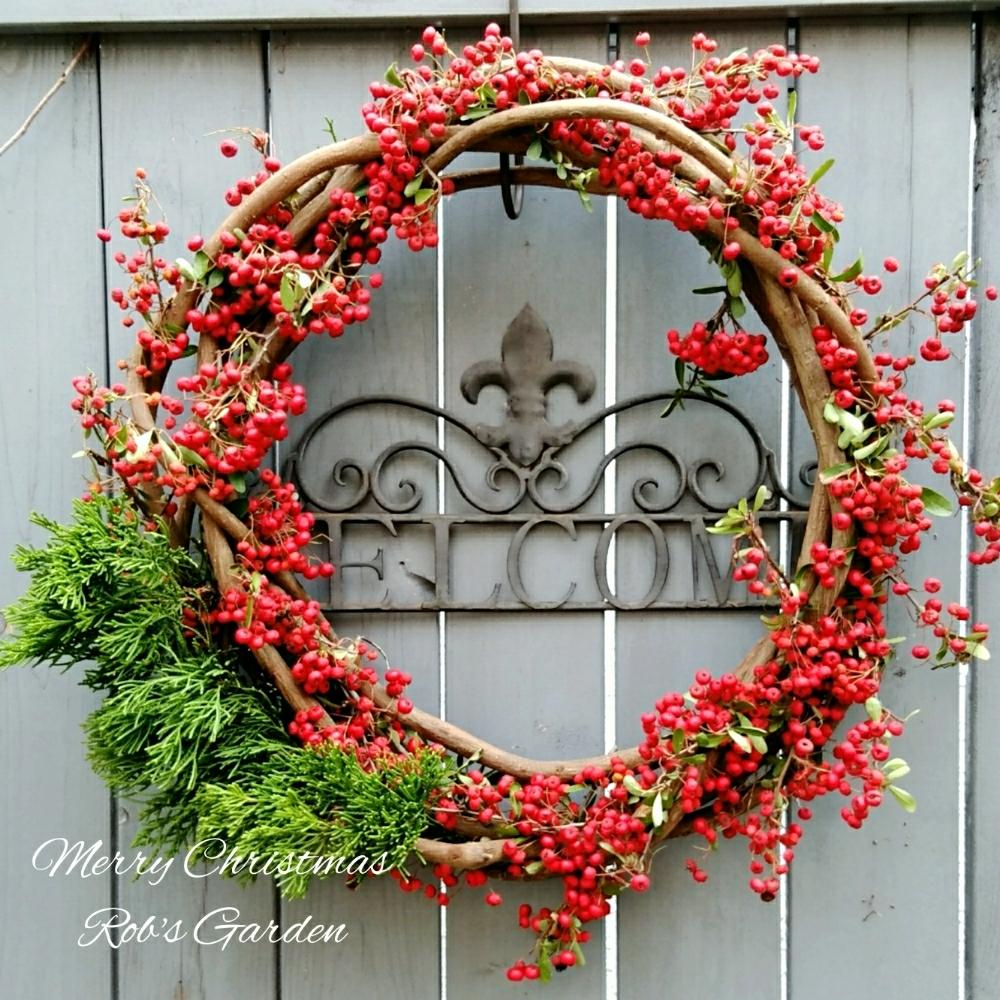 ピラカンサスの投稿画像 By ロブさん 癒やされるとrob S Gardenとボタニカルライフとやさしい色 とふゆと Xmas17 フォトコンとgs映えと植中毒と紅葉 こうよう とホワイトクリスマスとジャンクガーデンと植物マニアとアウトドアリビングとクリスマスアレンジと ピラカンサスの投稿画像 By ロブさん 癒やされるとrob S Gardenとボタニカルライフとやさしい色 とふゆと Xmas17 フォトコンとgs映えと植中毒と紅葉 こうよう とホワイトクリスマスとジャンクガーデンと植物マニアとアウトドアリビングとクリスマスアレンジと