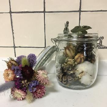 メイソンジャーの投稿画像一覧 Greensnap グリーンスナップ