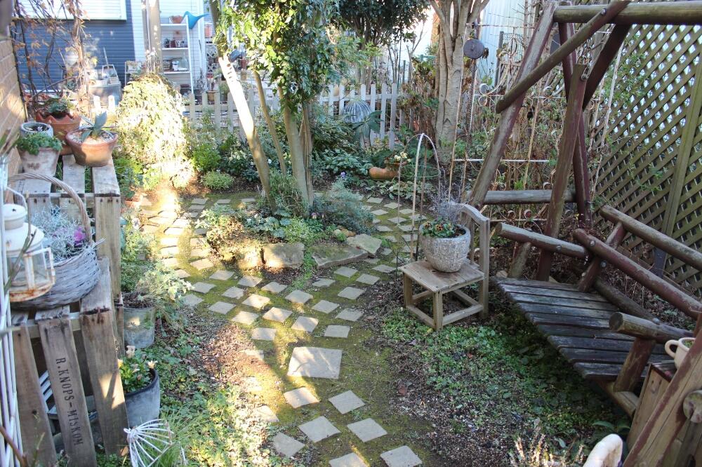 パンジー ドラキュラの投稿画像 By 819sakuranboさん シマトネリコとmy Gardenとグリーンのある暮らしと寄せ植えとシェードガーデンと今日の一枚と鉢植えとガーデニングと花のある暮らしと小道と庭の宿根草 17月12月25日 Greensnap グリーンスナップ