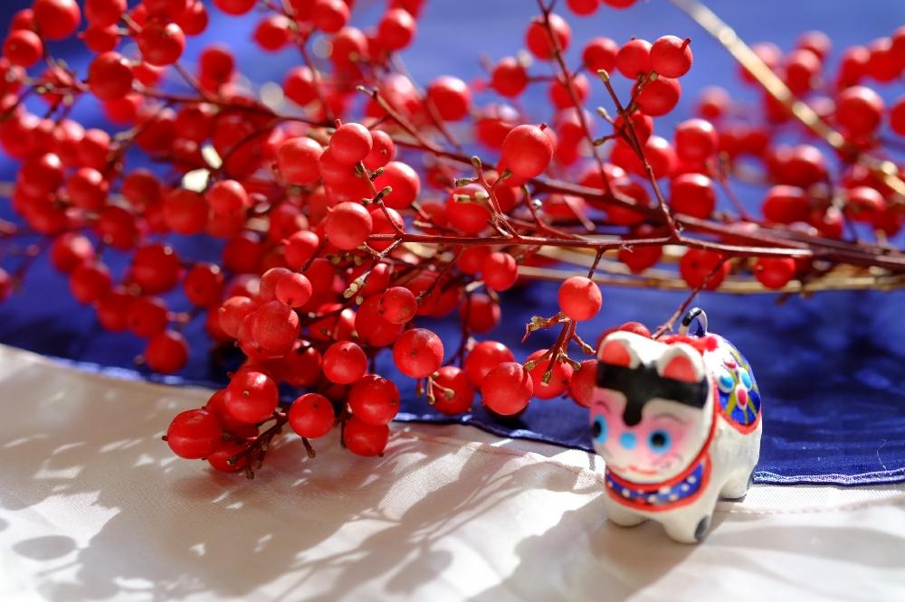 南天ナンテンの投稿画像 By Robin さん 日が延びるとありがとう とお正月と年の瀬と可愛いと明日は大晦日と今年もありがとうと花のある暮らしと12月師走と光の花とお花屋さんと冬の彩りと千両 17月12月30日 Greensnap グリーンスナップ