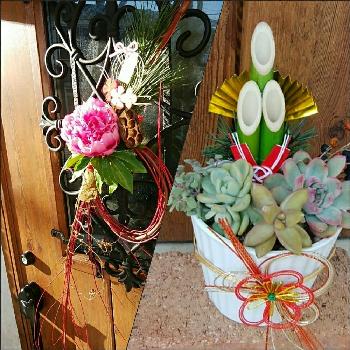 門松寄せ植えの画像 by cocoさん | 玄関と門松寄せ植えとお正月飾りとタニラーと多肉らぶ♡