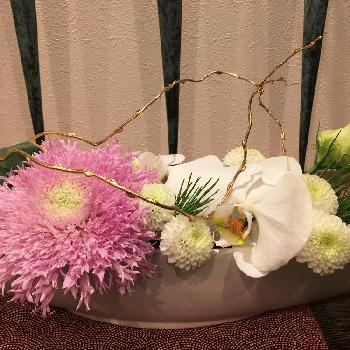『お正月飾り』コンテストの画像 by モネ柴さん | 玄関と花のある暮らしと『お正月飾り』コンテスト