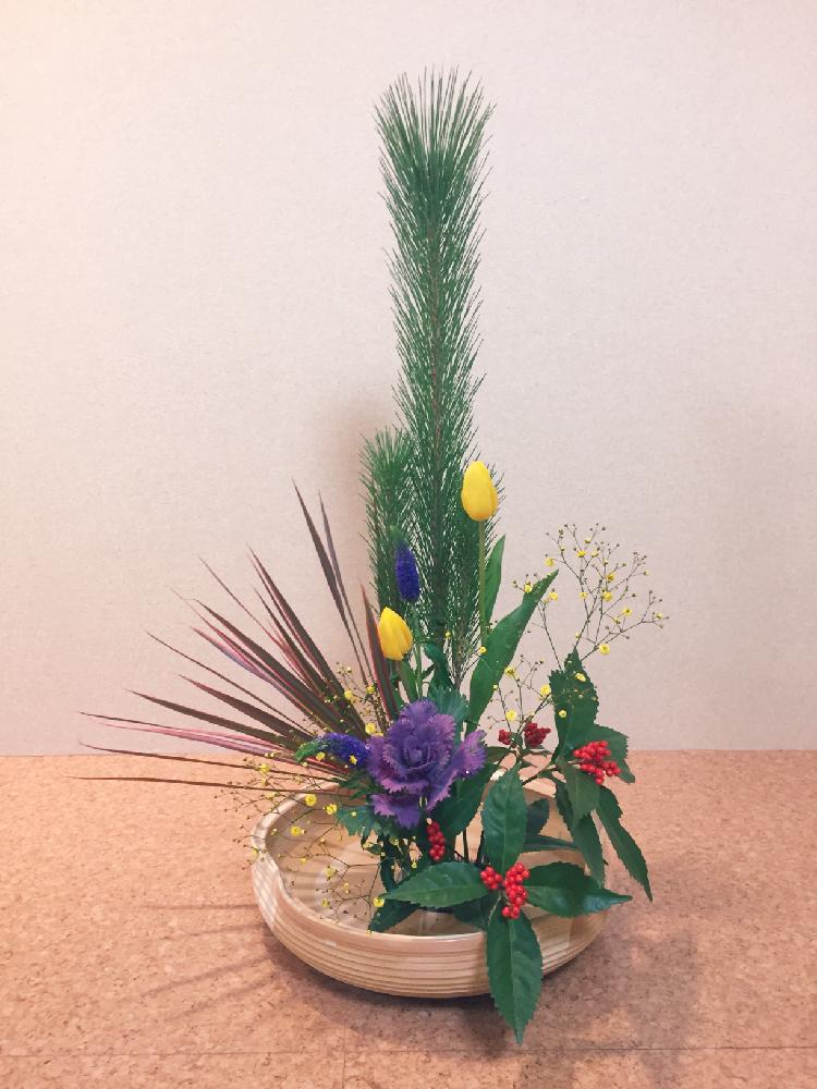 華道の投稿画像 By てーちゃんさん いけばなとフラワーアレンジメントと植物とお花で迎えるお正月と花のある暮らしと葉牡丹 とセンリョウとチューリップと和室と華道といけばなとフラワーアレンジメントと植物とお花で迎えるお正月と花のある暮らし 17月12月31日