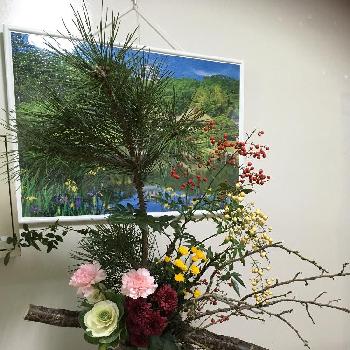正月の花の画像 by たまみさん | お出かけ先と葉牡丹！と正月の花と南天ナンテン