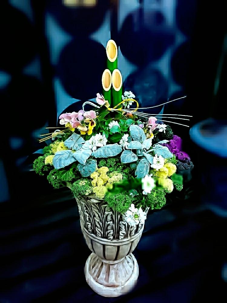 寄せ植えの投稿画像 By Kroneさん お正月飾り18 コンテストとお正月とガーデニングと植物とお花で迎えるお正月と花のある暮らしと玄関と 寄せ植えと お正月飾り18 コンテストとお正月とガーデニングと植物とお花で迎えるお正月と花のある暮らし 18月1月1日