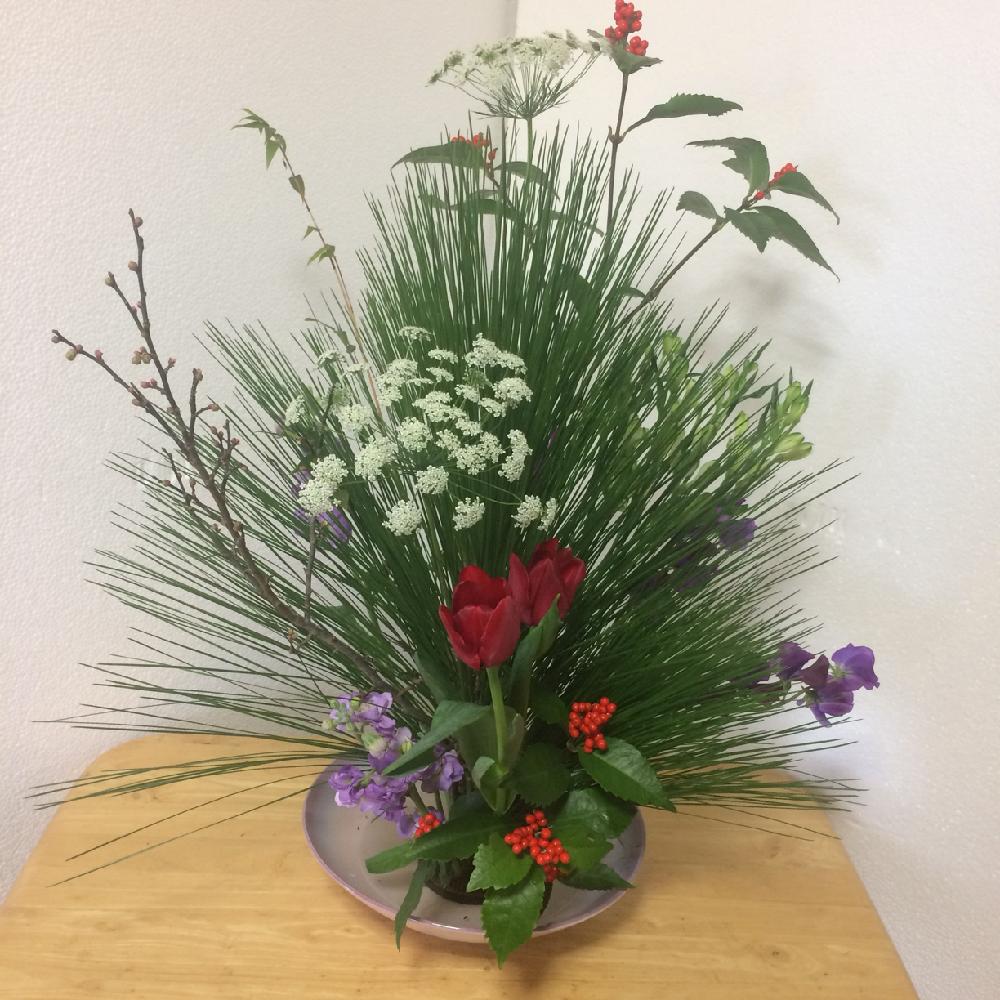 お正月生け花の投稿画像 By Risaさん いけばなと初挑戦とお正月と植物とお花で迎えるお正月 18月1月1日 Greensnap グリーンスナップ