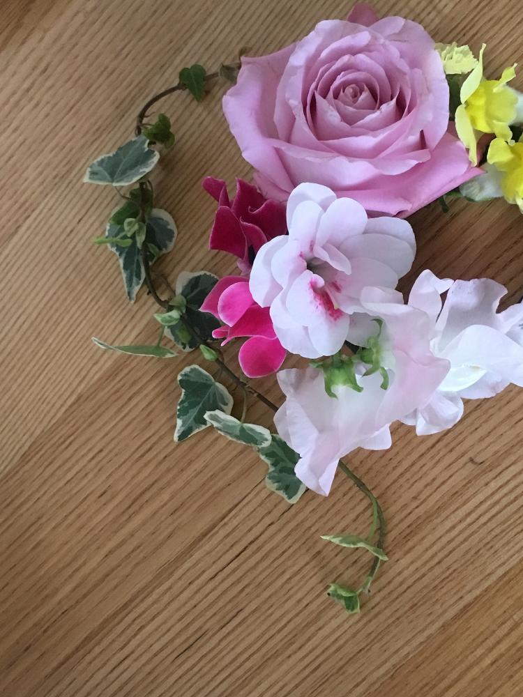 アザレアの投稿画像 By ごろちゃんさん シクラメンとキンギョソウとスイートピーとアイビーとバラとhtcとおきにいりとフラワーアレンジメントと花 のある暮らしとバラ ミニバラとバラを楽しむと切り花と アザレア 18月1月11日 Greensnap グリーンスナップ