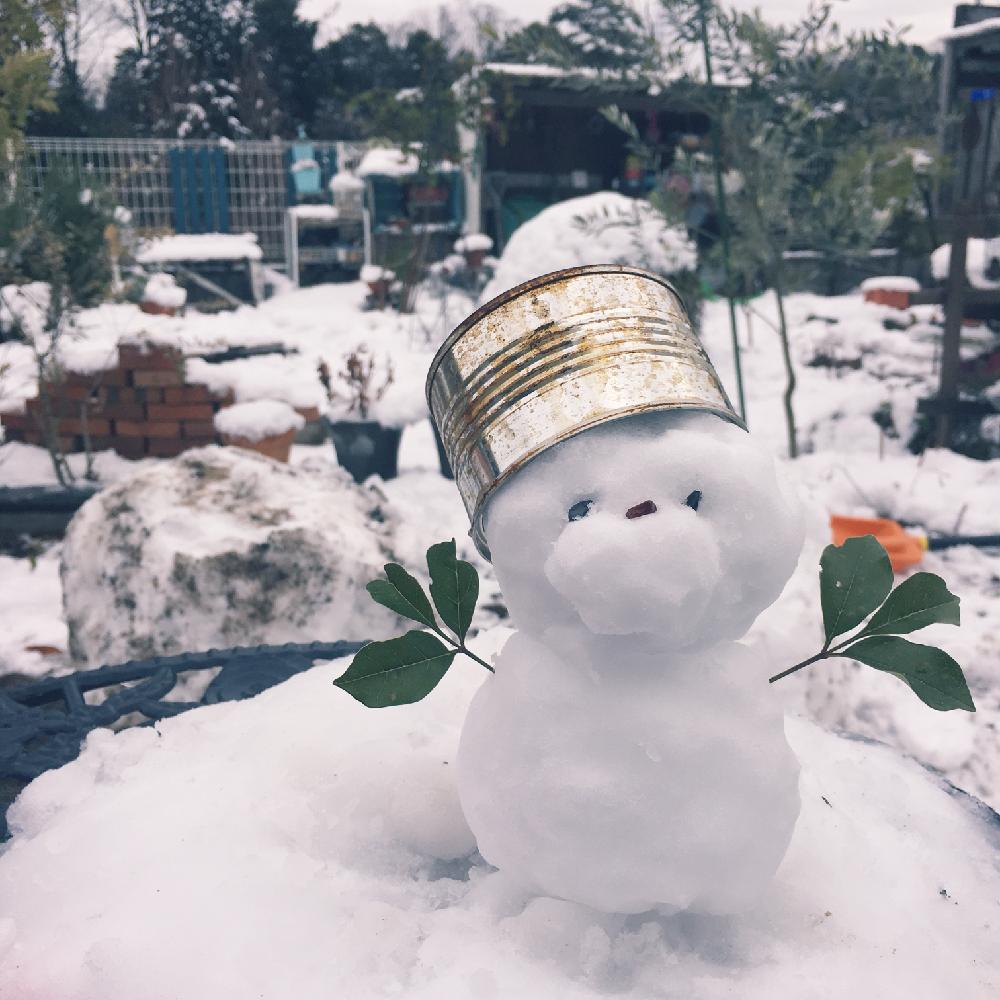 シマトネリコの投稿画像 By Siroopさん 雪景色と雪だるまとリアル雪だるま 18月1月14日 Greensnap グリーンスナップ