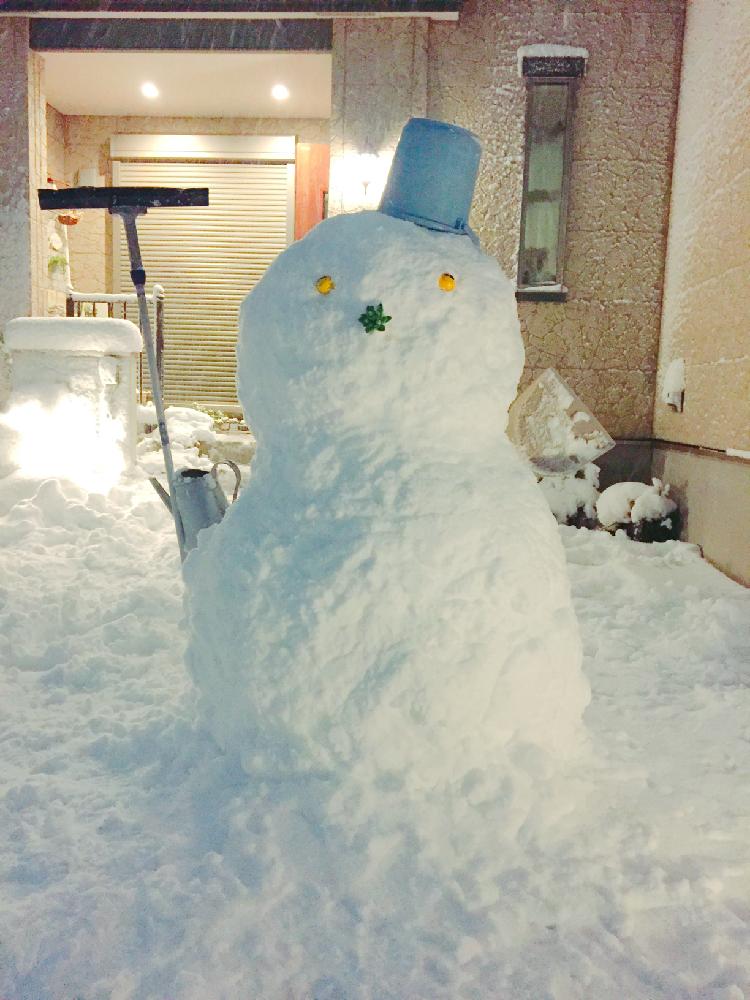 手作り雪だるまの投稿画像 By Acoさん 18月1月23日 Greensnap グリーンスナップ