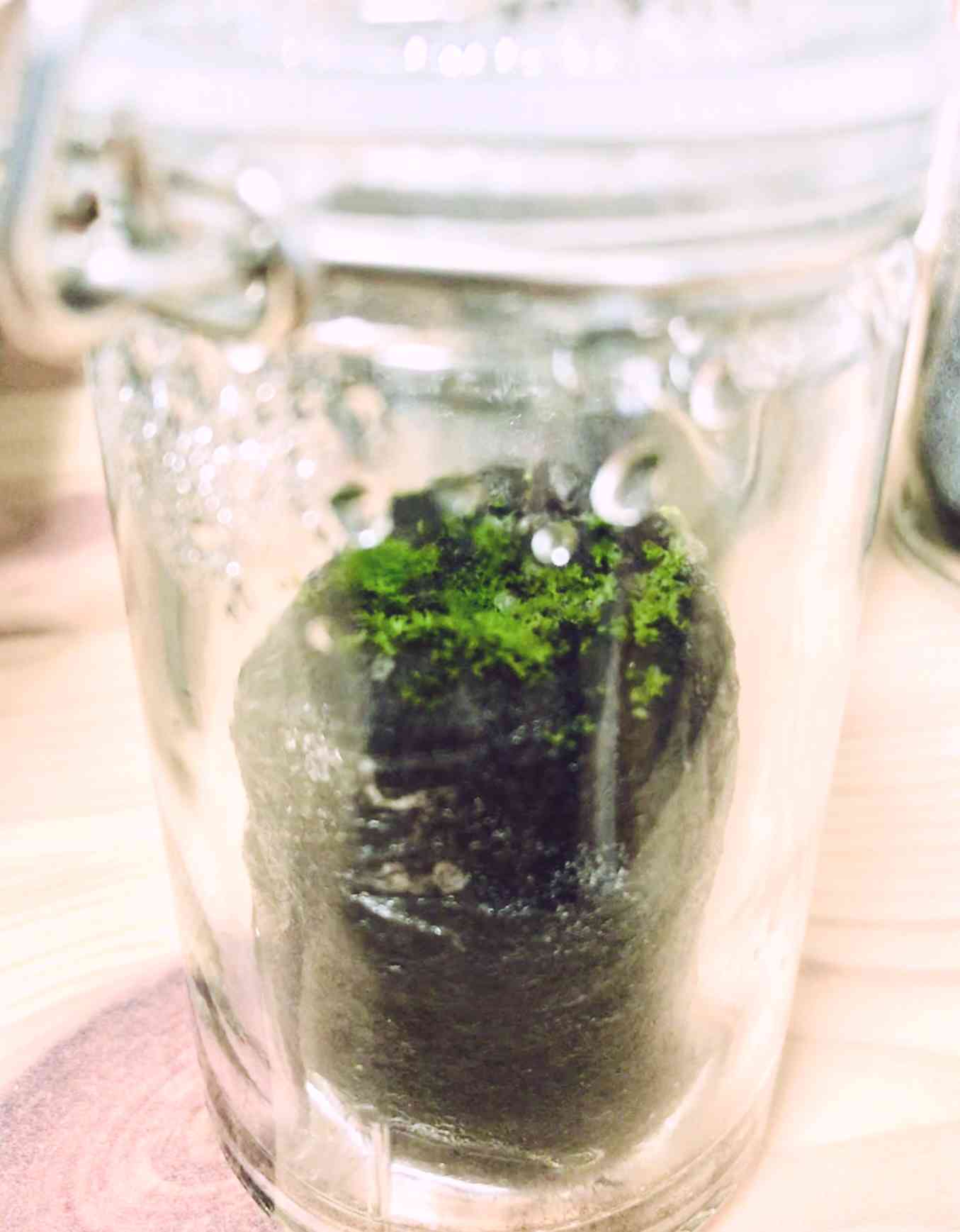 1517408147657_photo.jpg?d=