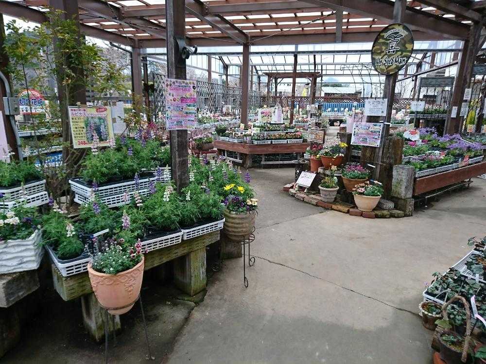 豊橋で園芸店を２軒はしごしたよ Greensnap グリーンスナップ