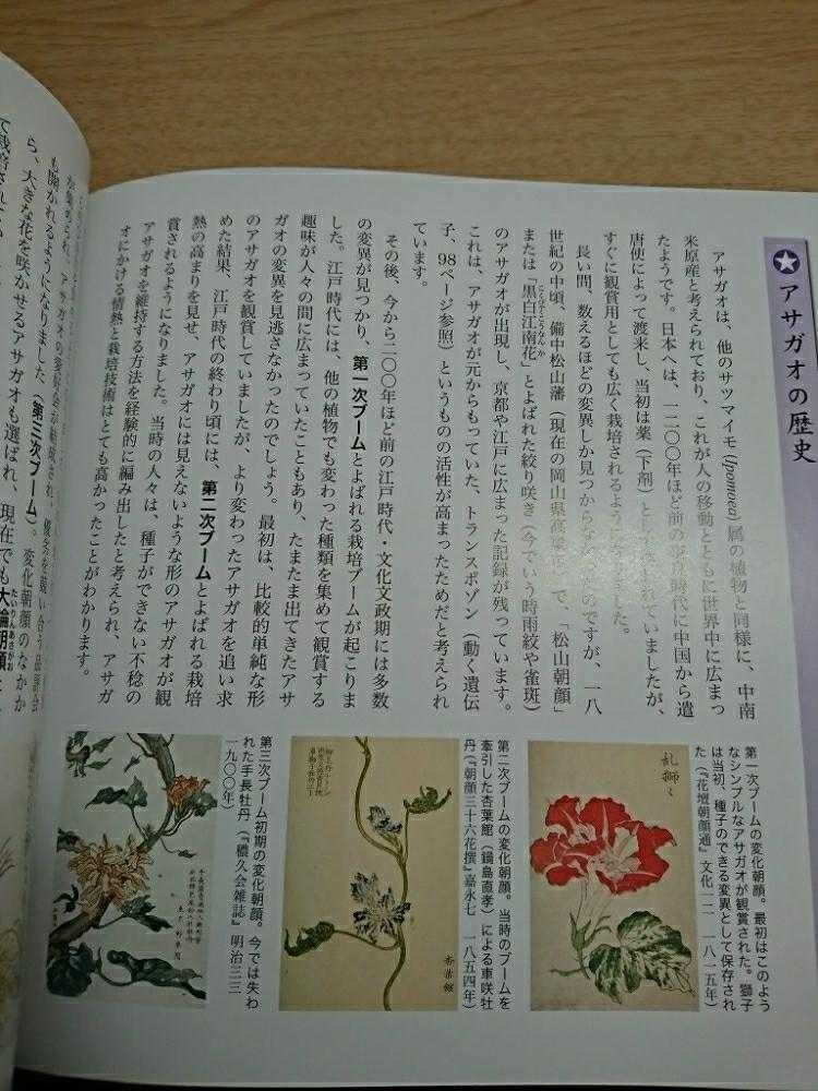 書籍紹介】変化朝顔図鑑｜🍀GreenSnap（グリーンスナップ）