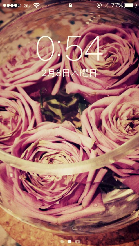すべての美しい花の画像 新着iphone 薔薇 壁紙 おしゃれ