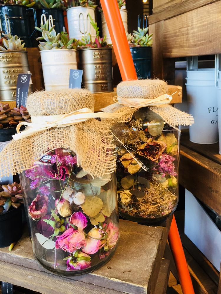 ジャンクの投稿画像 By カインズさん ドライフラワーのある暮らしとアンティークと瓶詰めとgs映えとカインズとホームセンターとオトナカワイイと花のある暮らしとかわいいとカインズ浦和美園店と置くだけ簡単とカインズホーム 18月2月13日 Greensnap グリーン