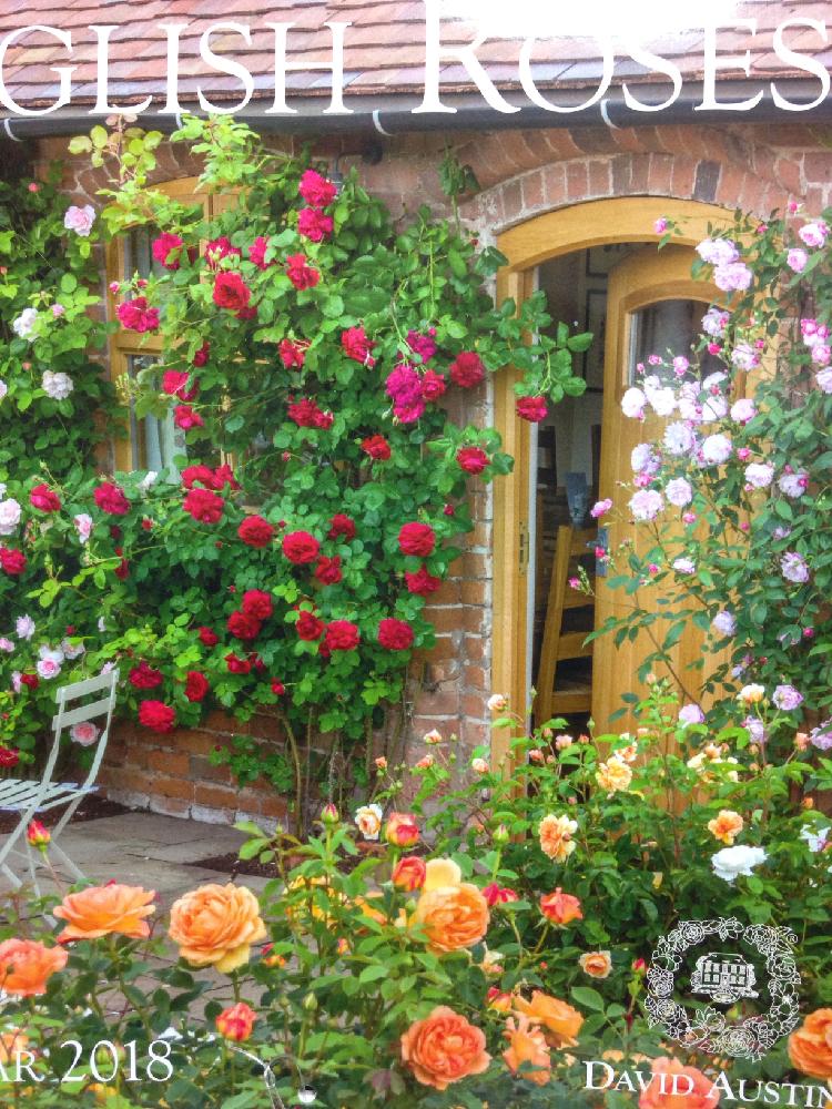 ローズトーキング 薔薇と宿根草の庭 Greensnap グリーンスナップ