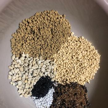 多肉植物用土の投稿画像一覧 Greensnap グリーンスナップ