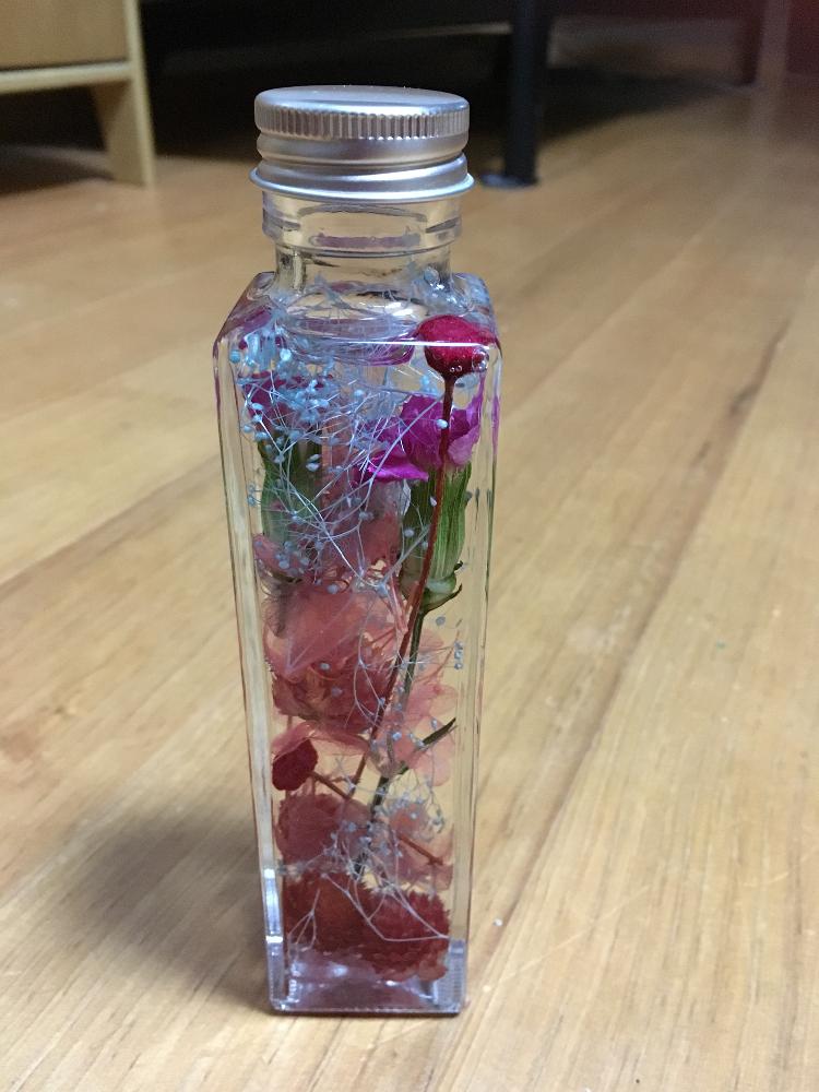 ピンクの花の投稿画像 By たまみさん 水色のかすみ草とハーバリウム体験教室と花のある暮らしと ハーバリウム コンテスト 18月3月5日 Greensnap グリーンスナップ