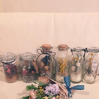 木の実かわいいの投稿画像一覧 Greensnap グリーンスナップ