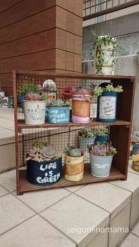 多肉植物棚 ハンドメイド 【公式通販】