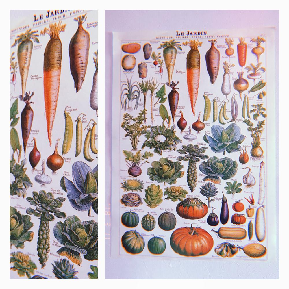 お野菜の投稿画像 By Akioさん イラストと癒しと雑貨と植物ポスターと