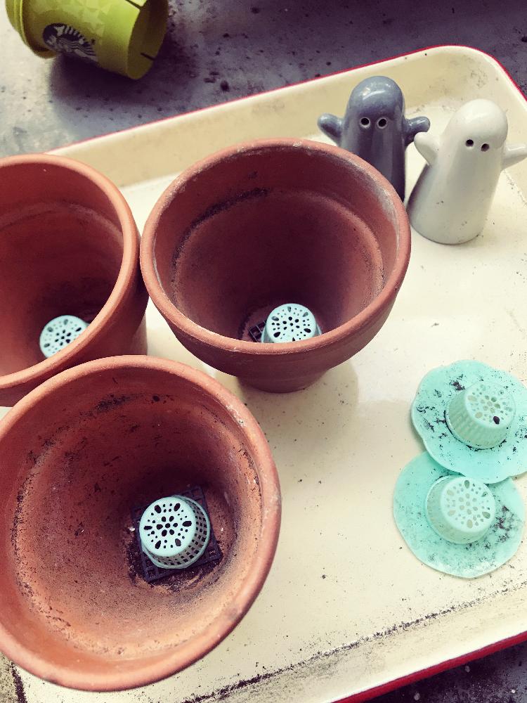 素人 視力 間接的 コーナン 植木鉢 Mishkazakharin Com