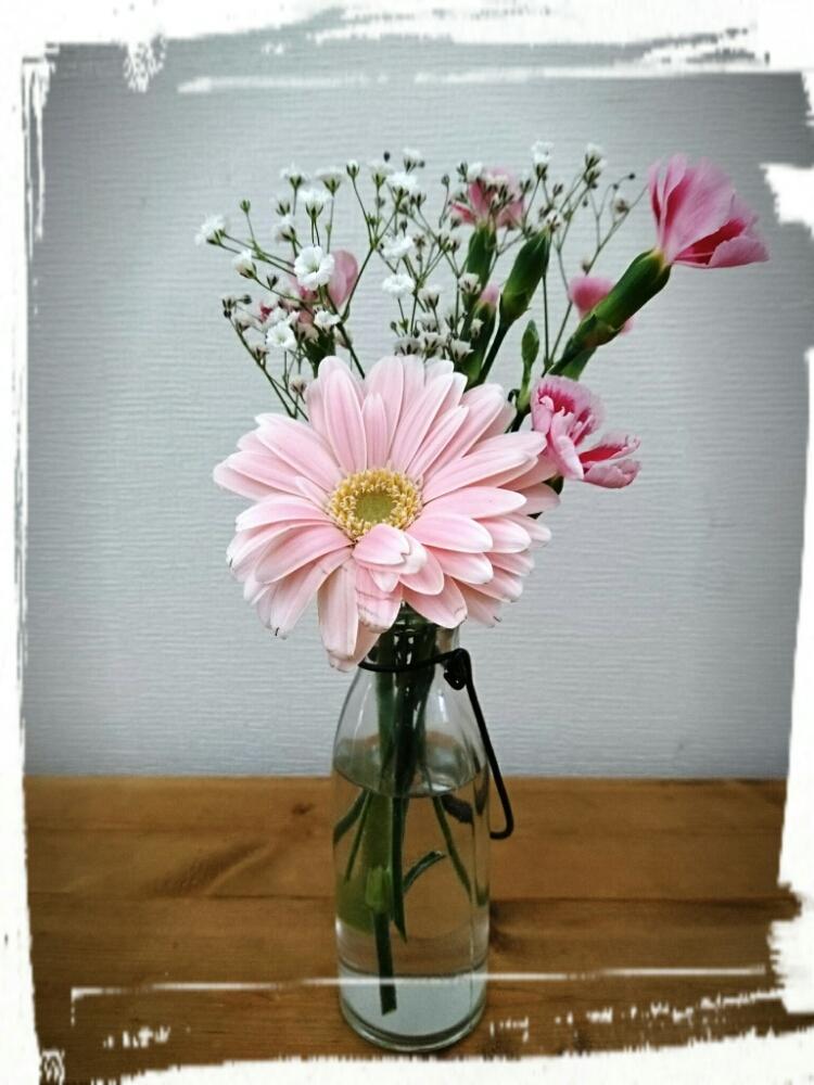 ガーベラの投稿画像 By くっかぷうさん ナデシコとカスミソウと小さな花束と初心者と水挿しと花瓶と花のある暮らしとミニブーケと花束 18月3月14日 Greensnap グリーンスナップ