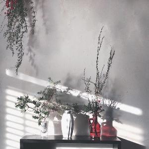 スターチスの投稿画像 By Mmさん ユーカリとドライフラワーと花瓶入れただけと花のある暮らしとユーカリドライとインテリアグリーン 18月3月15日 Greensnap グリーンスナップ