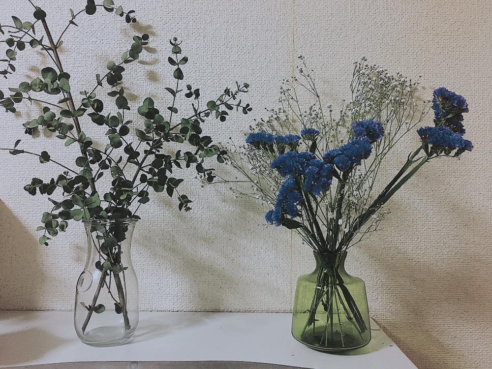 スターチスの投稿画像 By Mmさん ユーカリとドライフラワーと花瓶入れただけと花のある暮らしとユーカリドライとインテリアグリーン 2018月3月15日 Greensnap グリーンスナップ