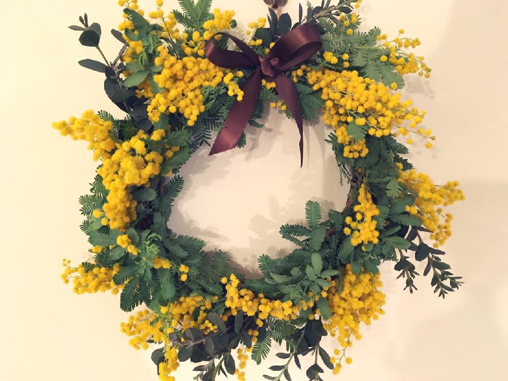 ミモザの投稿画像 By ぷにちくさん ユーカリとリースと花のある暮らしと100均雑貨とハンドメイド 18月3月21日 Greensnap グリーンスナップ