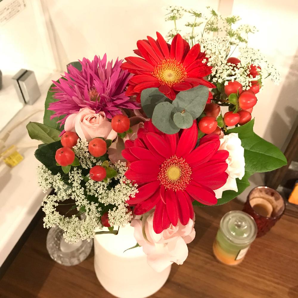部屋の投稿画像 By Coppeさん 切り花とかわいいな と赤い花と赤い実と切り花とかわいいな と赤い花と赤い実 18月3月23日 Greensnap グリーンスナップ Greensnap グリーンスナップ