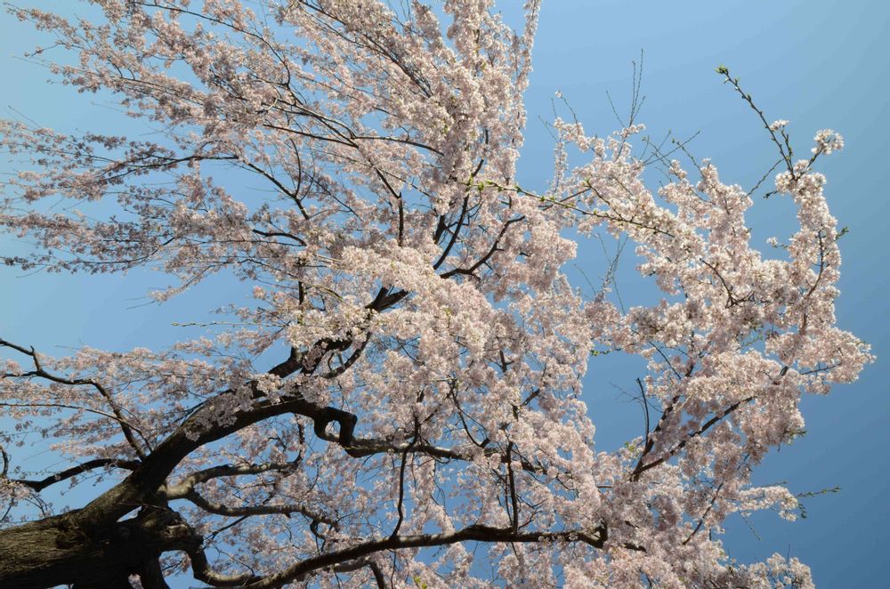 ゆうさんの山下公園への投稿