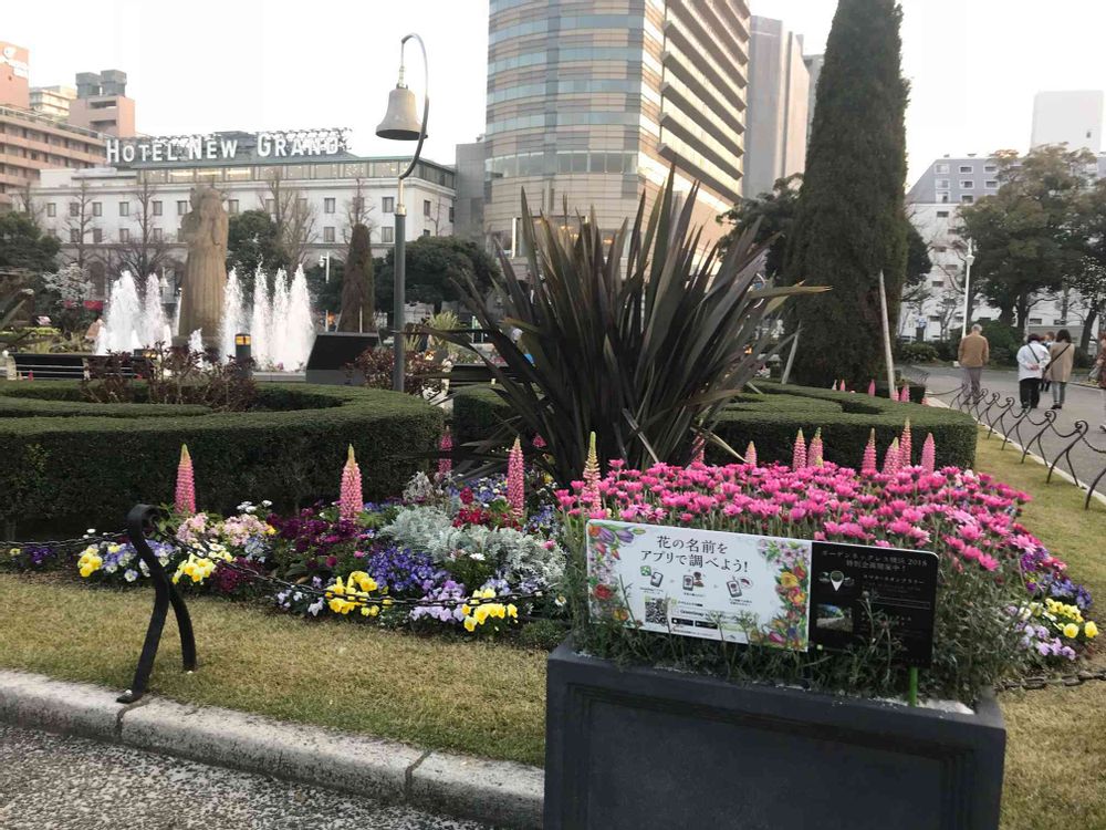 田中 亮介さんの山下公園への投稿