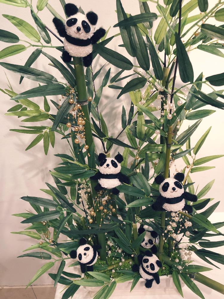 パンダ シャンシャンの投稿画像 By ゆめさん いとおしい植物の表情フォトコンと笹パンダとピンポンマムパンダとフラワーアレンジメントと花 のある暮らしとプリザーブドフラワーで作るパンダ 18月3月31日 Greensnap グリーンスナップ