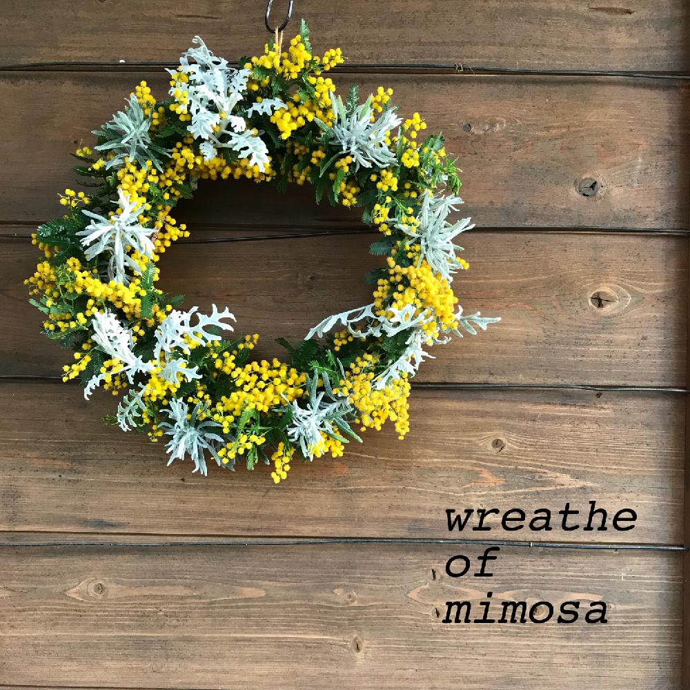 ひとてま込めて コンテストの投稿画像 By Tanasaさん ミモザリースと 黄色植物 コンテストと プチプラ花コーデ コンテストと100均 アレンジと 私のお気に入りリース コンテスト 18月4月3日 Greensnap グリーンスナップ