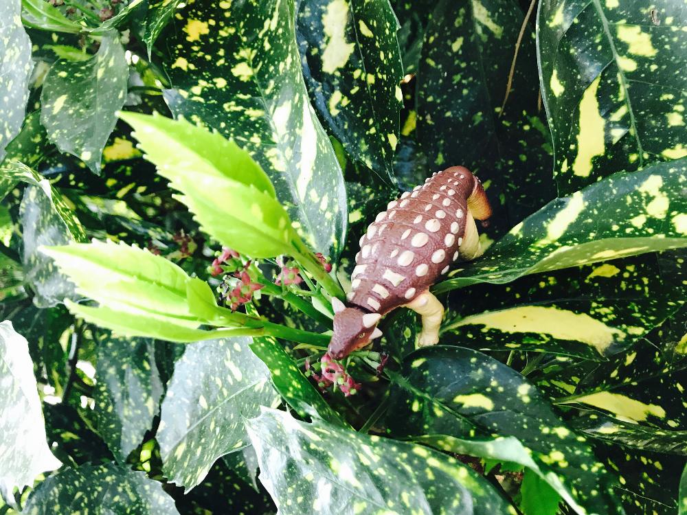 マクロな世界 コンテストの投稿画像 By まりもっちさん 花と恐竜 18月4月5日 Greensnap グリーンスナップ