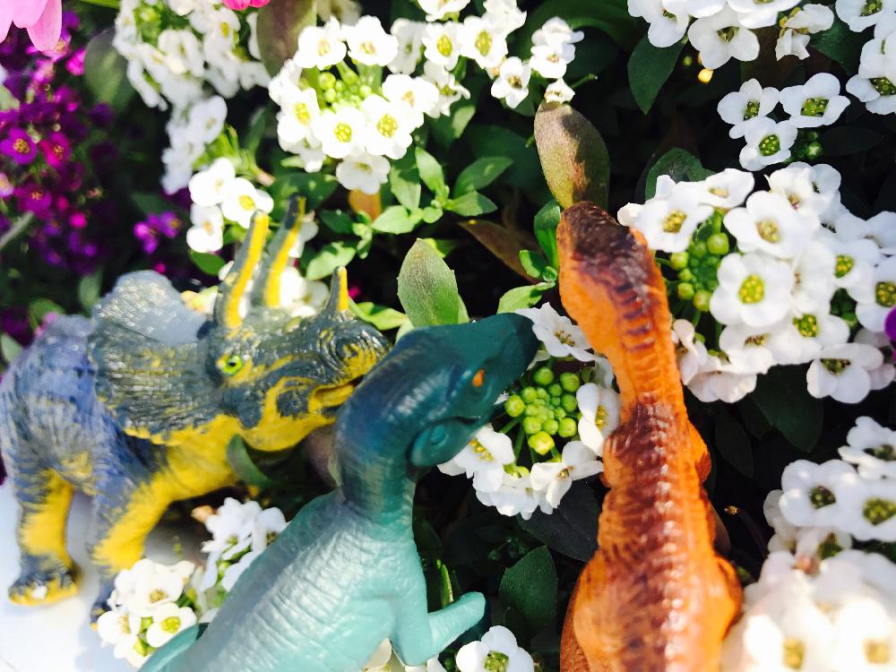 マクロな世界 コンテストの投稿画像 By まりもっちさん 花と恐竜 18月4月5日 Greensnap グリーンスナップ