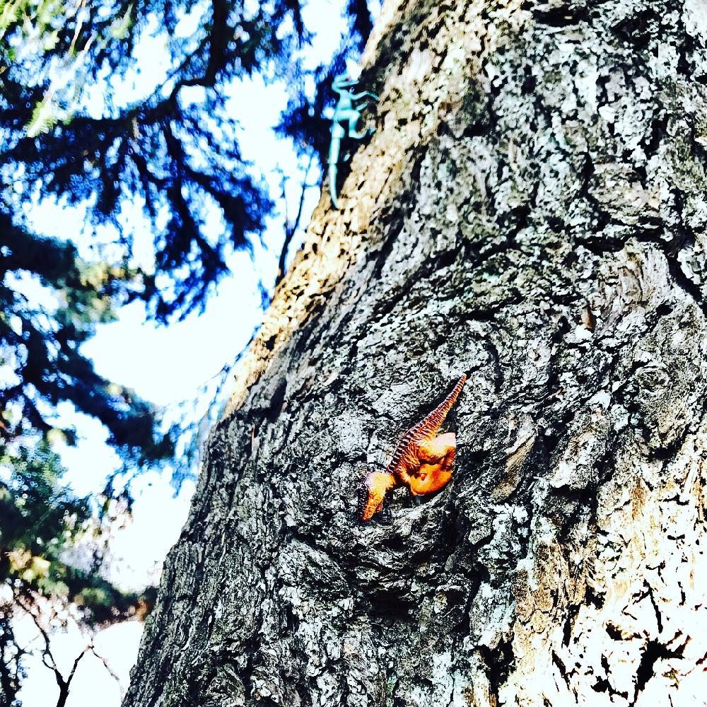 マクロな世界 コンテストの投稿画像 By まりもっちさん 花と恐竜 18月4月5日 Greensnap グリーンスナップ