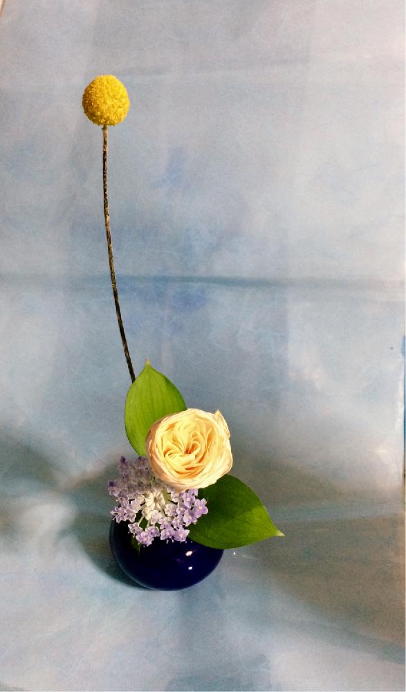 池坊の投稿画像 By ゆずさん 自由花といけばなと花のある暮らしとバラ ミニバラと生け花 18月4月6日 Greensnap グリーンスナップ