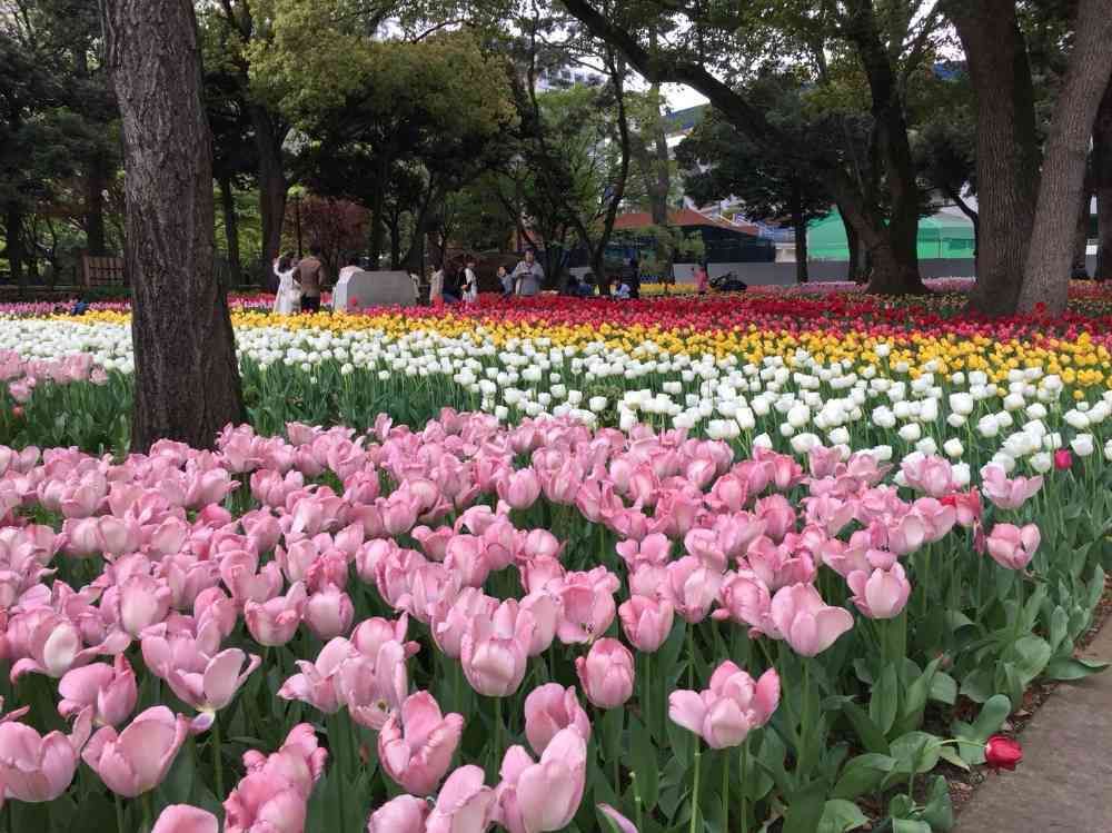 いーともさんの横浜公園への投稿