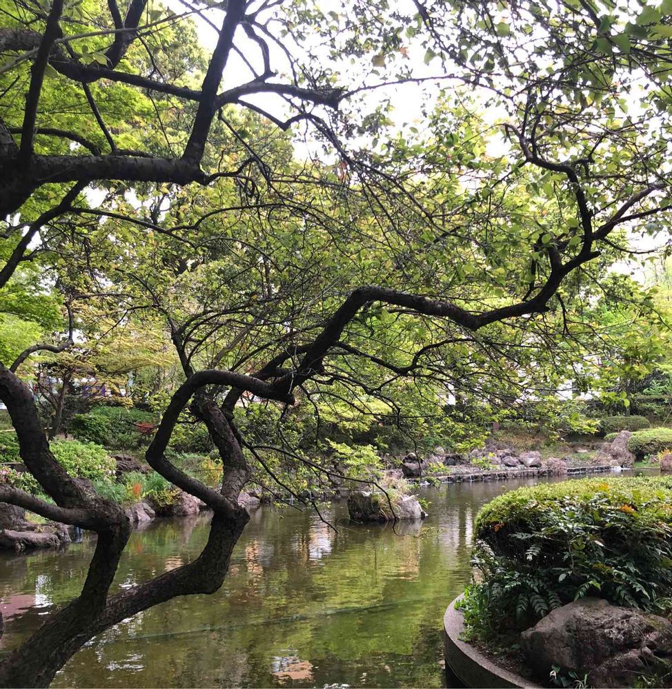 らりるん♪さんの横浜公園への投稿