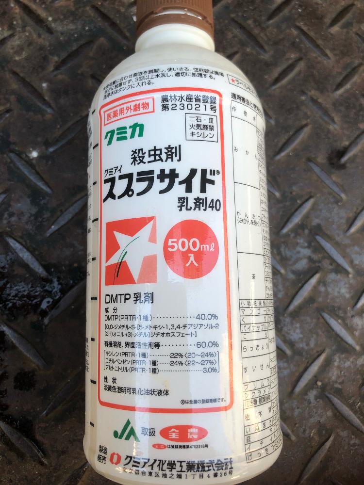 リトープスの投稿画像 By たかさん サボテンとエケベリアとカイガラムシと害虫対策と季節の定番 18月4月8日 Greensnap グリーンスナップ