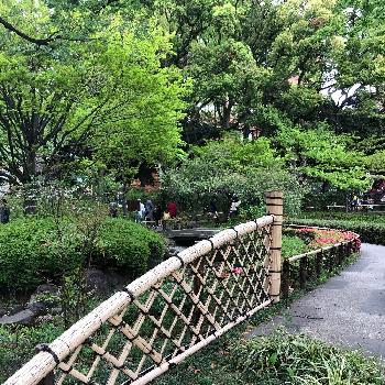 竹細工の画像 by らりるん♪さん | お出かけ先と日本庭園と横浜公園と竹細工と竹垣と横浜公園の庭園と彼我公園