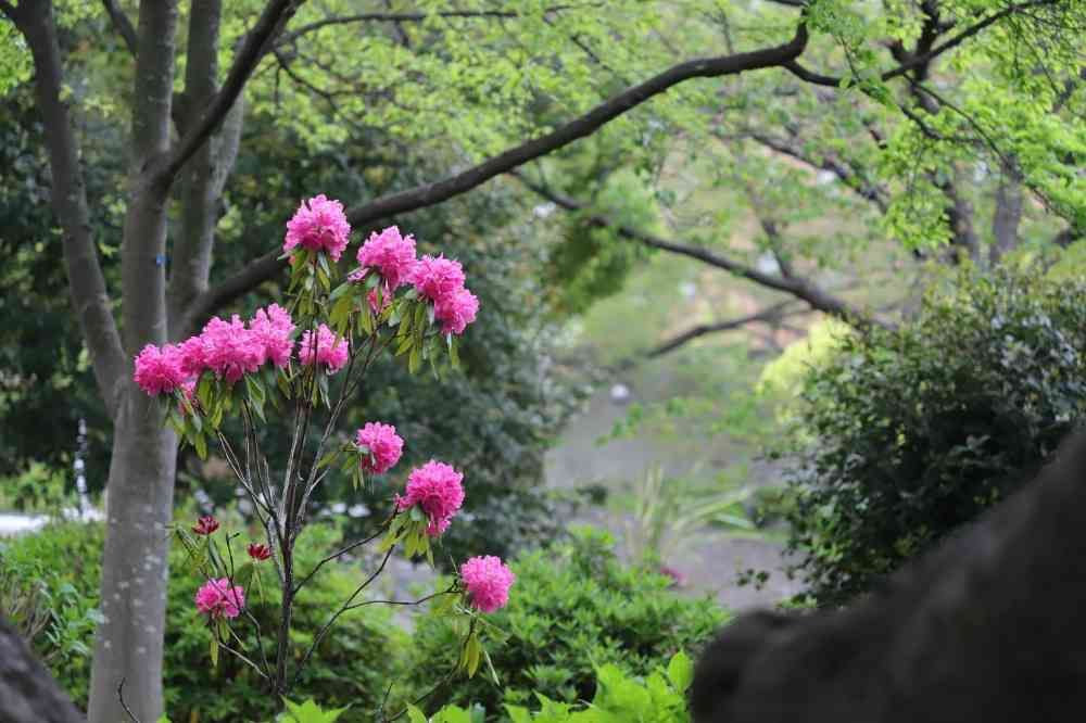 takosyaさんの山下公園への投稿