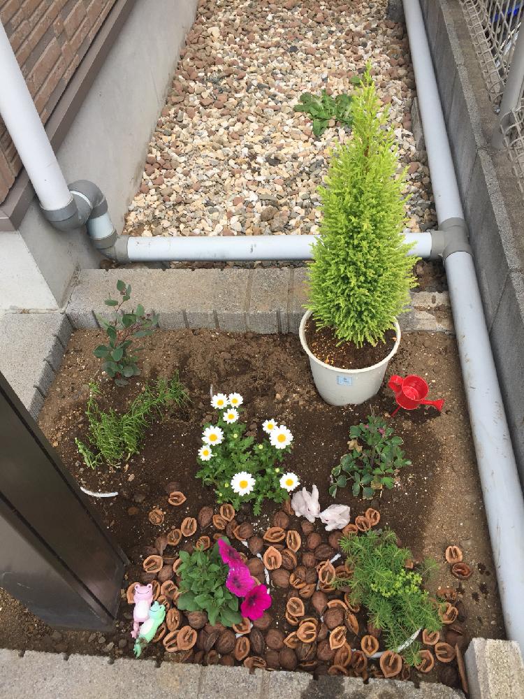 ガーデニング初心者の投稿画像 By むぎさん 小さな小さな庭と小さな花壇 18月4月11日 Greensnap グリーンスナップ