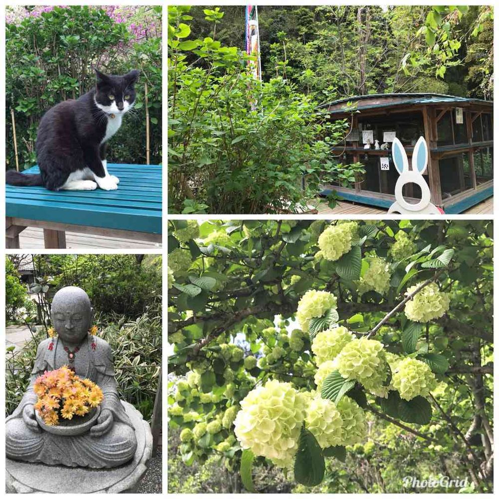 ひろちゃんさんの山下公園への投稿