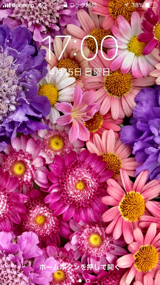 沢山のお花の投稿画像 By Kimikimiさん 壁紙と真上から と美花と壁紙祭り 18月4月15日 Greensnap グリーンスナップ