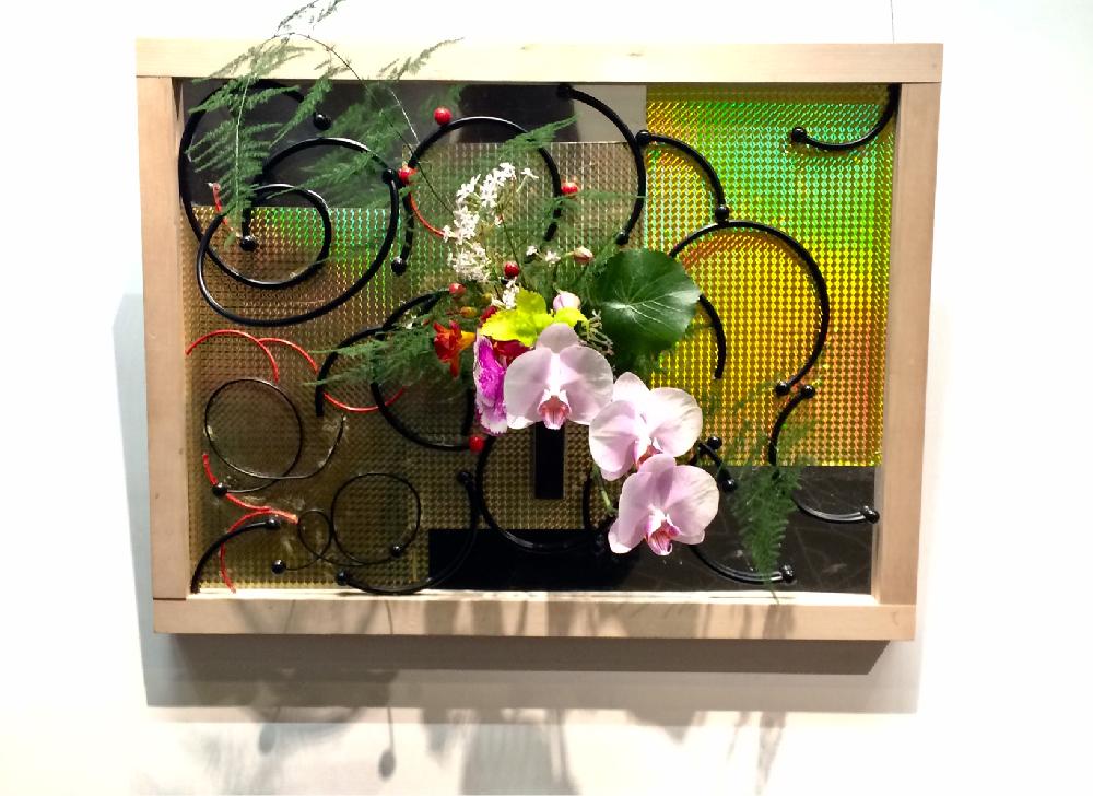 花展の投稿画像 By ゆずさん 池坊と自由花といけばなと花のある暮らしと生け花 18月4月16日 Greensnap グリーンスナップ