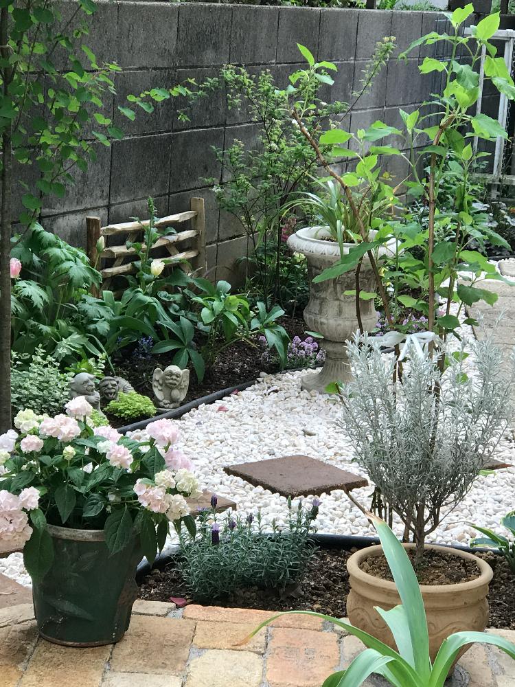 ガーゴイルE681　庭　イングリッシュガーデン ガーゴイルE681庭イングリッシュガーデン